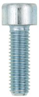 M8x25 Allen Screw 8.8, zinc-coated