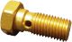 Banjo Bolt M10x1.25, aluminium, gold anodised