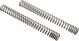PROMOTO Fork Springs, 1 Pair (Vehicle Type Approval)