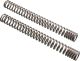 PROMOTO Fork Springs, 1 Pair (Vehicle Type Approval)