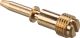 Idle Air Adjustment Screw (Mikuni)
