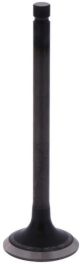 Exhaust Valve