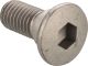 Mounting Screw for Rear Brake Disc (OEM), M8x1.25, length 20mm, 1 piece, needed in sets of 5