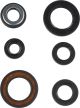 Engine Oil Seal Set (6pcs., contains 25x40x6,5x25x40,14x27x6,12x22x5,15x25x5, S7x14x6)