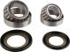 HD Steering Head Bearing Set Tapered Rollers incl. Dust Seals for Bottom and Top