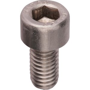 Vis allen M6x10, inox A2