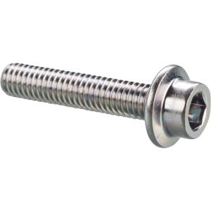 Allen Screw with Flange M6x30 (OEM)