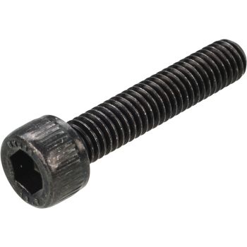 Allen Screw