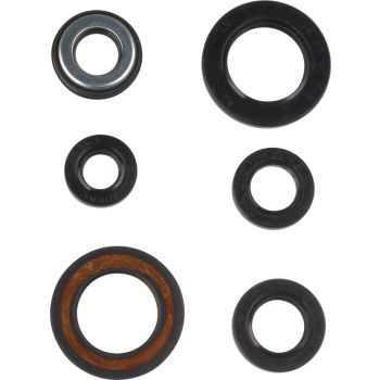 Engine Oil Seal Set (6pcs., contains 25x40x6,5x25x40,14x27x6,12x22x5,15x25x5, S7x14x6)